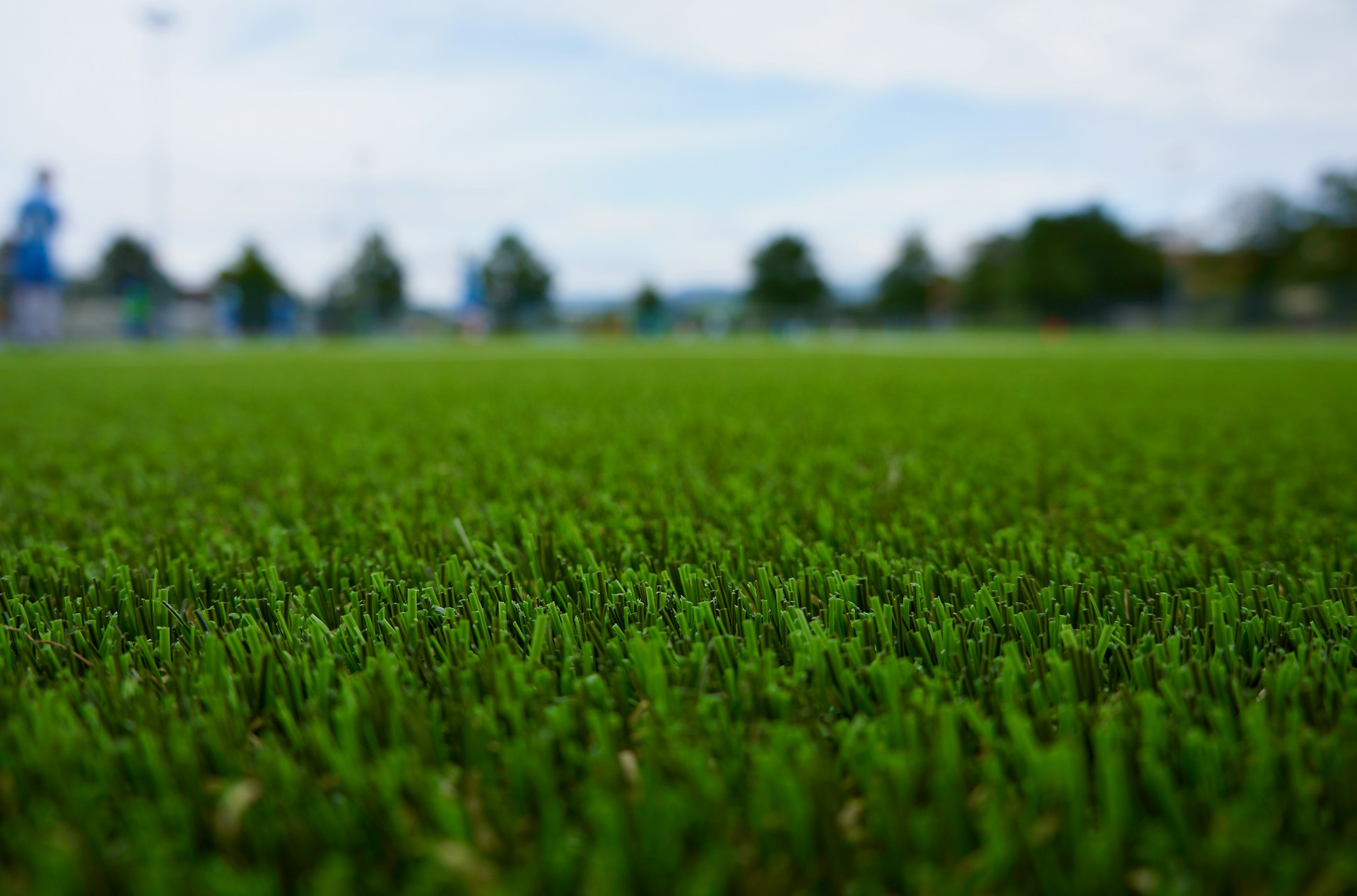 kunstgras